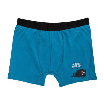 Pánské boxerky Moomin What´s up teal